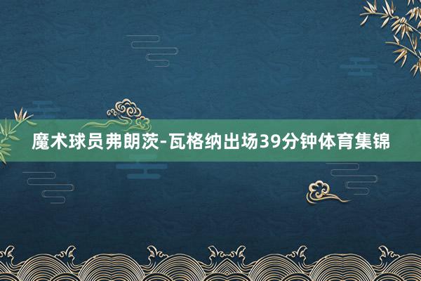 魔术球员弗朗茨-瓦格纳出场39分钟体育集锦