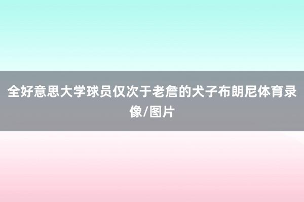 全好意思大学球员仅次于老詹的犬子布朗尼体育录像/图片