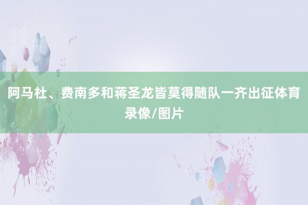 阿马杜、费南多和蒋圣龙皆莫得随队一齐出征体育录像/图片