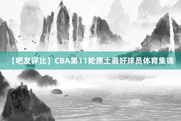 【吧友评比】CBA第11轮原土最好球员体育集锦