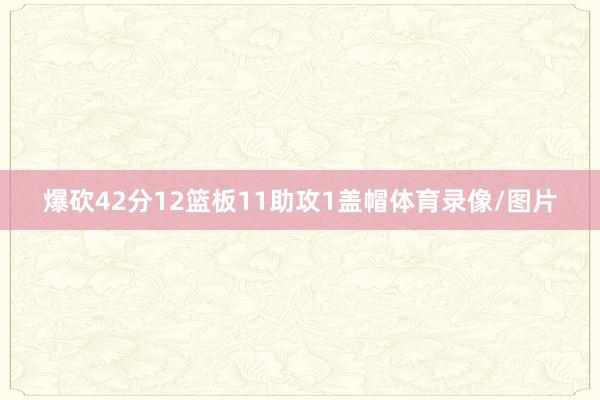 爆砍42分12篮板11助攻1盖帽体育录像/图片