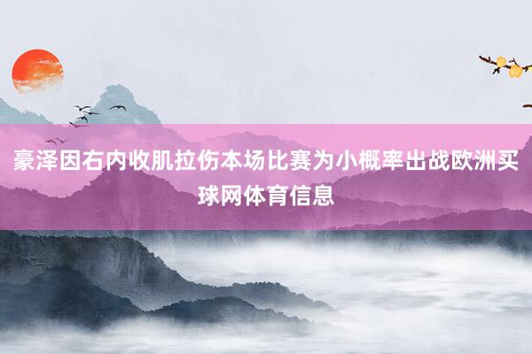 豪泽因右内收肌拉伤本场比赛为小概率出战欧洲买球网体育信息